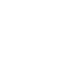 Premier Plus Real Estate Company